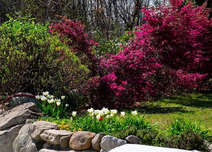 Italian Lakes 14009 *